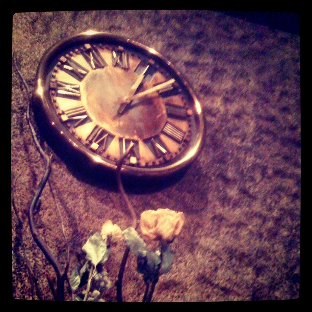 くぐつ草 at 吉祥寺