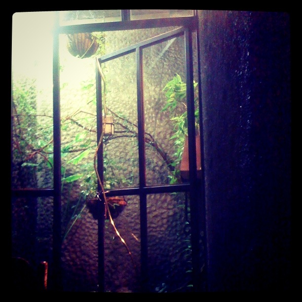 くぐつ草 at 吉祥寺