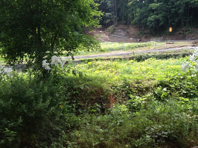 Cafe ゴリョウ at 北海道