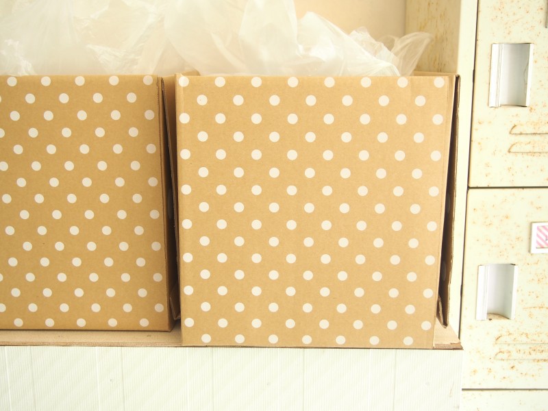 mt粟島 粟島小学校