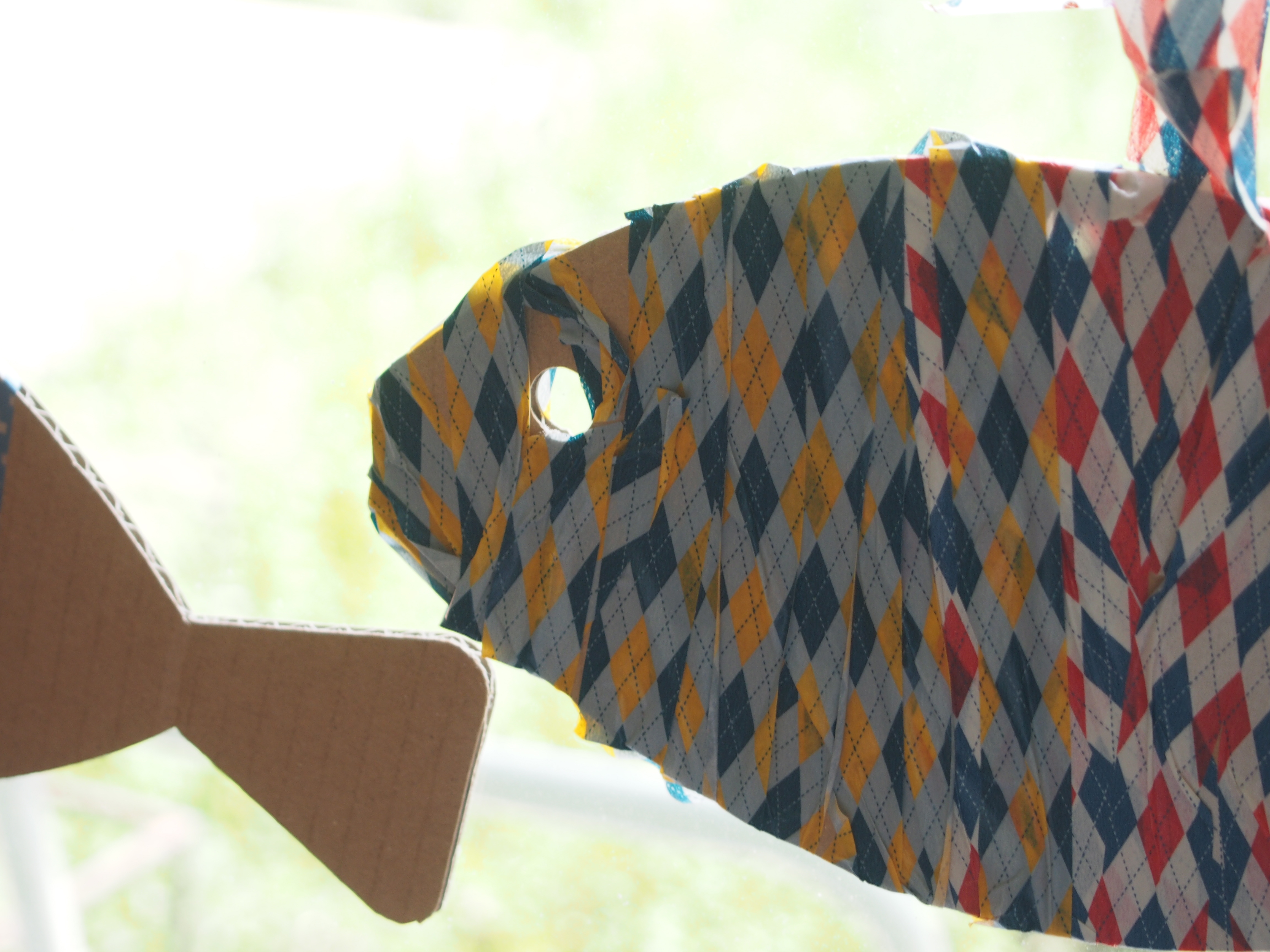 mt粟島 mt水族館