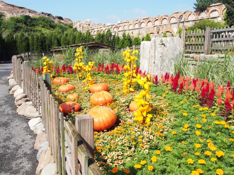 ディズニーシーハロウィン2014