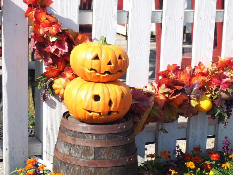 ディズニーシーハロウィン2014