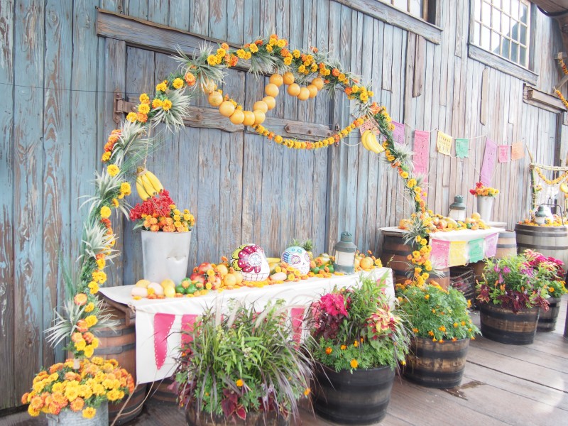 ディズニーシーハロウィン2014