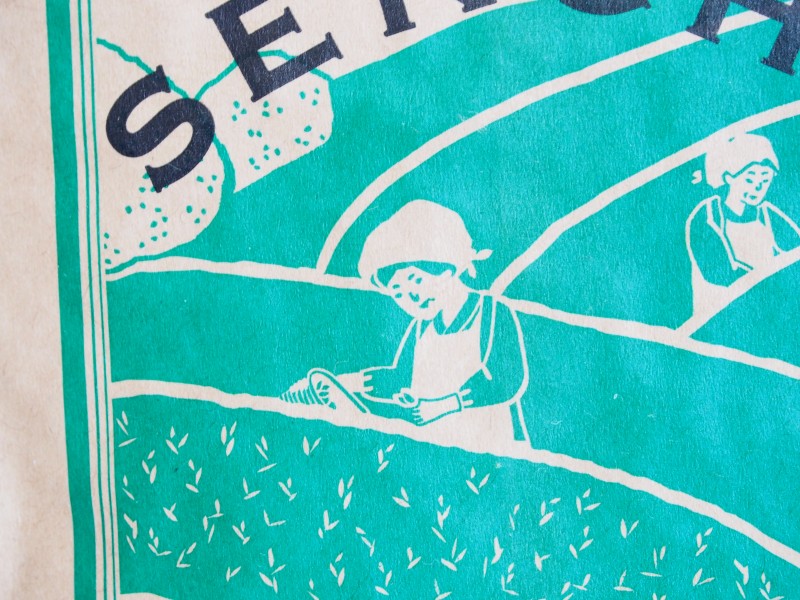 中川政七商店の月ヶ瀬煎茶