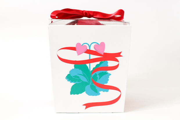 AUDREY（オードリー）2017年バレンタインパッケージ（横浜限定）