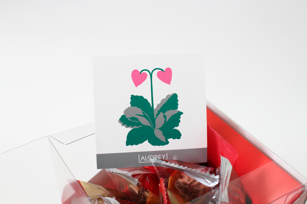 AUDREY（オードリー）2017年バレンタインパッケージ（横浜限定）