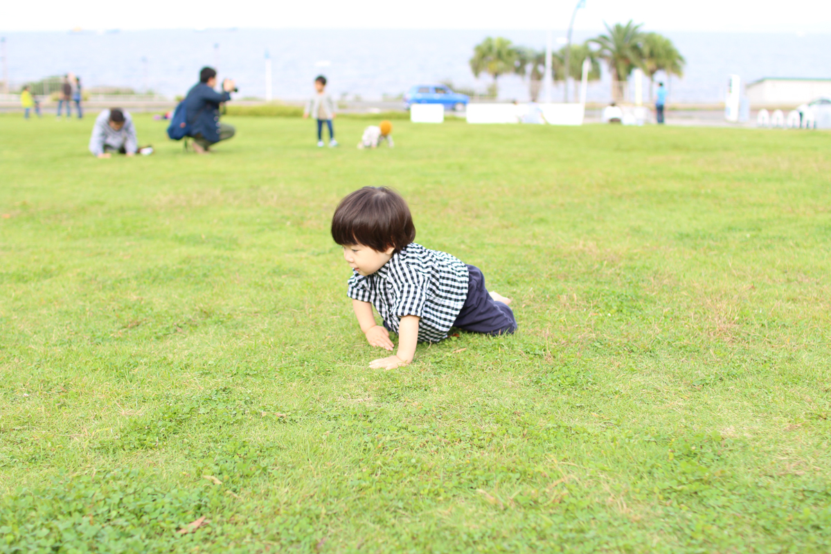 ぼくとわたしとみんなのtupera tupera 絵本の世界展