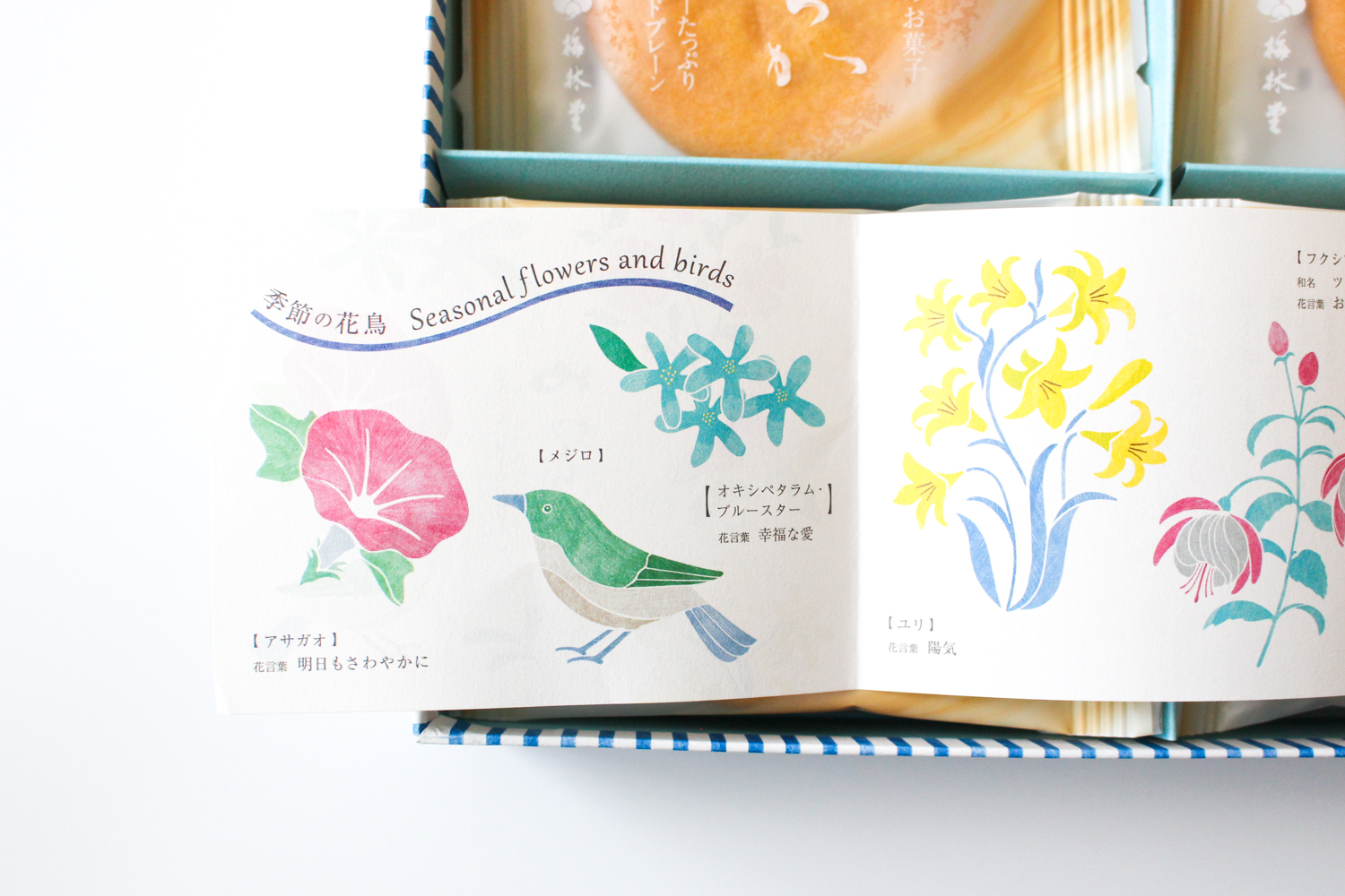 梅林堂「やわらか 夏の花畑」